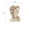 Succulent Plant Flower Pot The Head Of Elegant Greek Goddess Bonsai Planter Garden Pots Hand Crafts Home Desktop Decor - Image 5