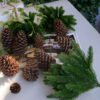 Simulation of green plants - Image 2