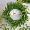 Simulation of green plants - Image 5