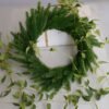Simulation of green plants - Image 4