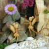 Vintage Miniature Fairy Garden Decor DIY Wooden Ornament Cra - Image 4